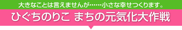 大きなことは言えませんが・・・・・・小さな幸せつくります。　ひぐちのりこ　まちの元気化大作戦
